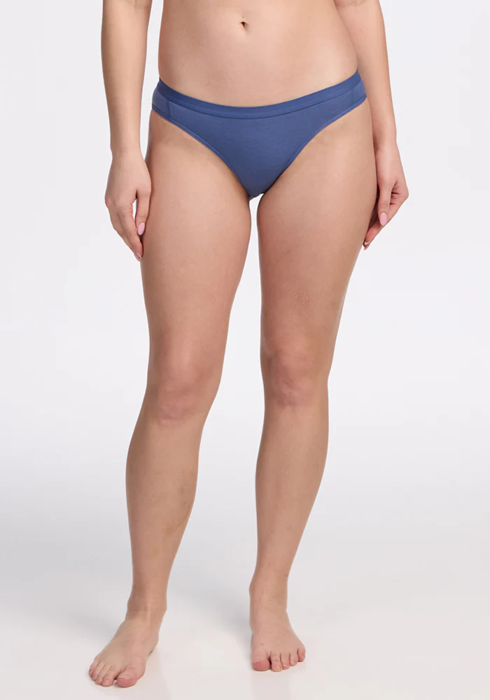 Roxie Bikini Underwear - Skyline