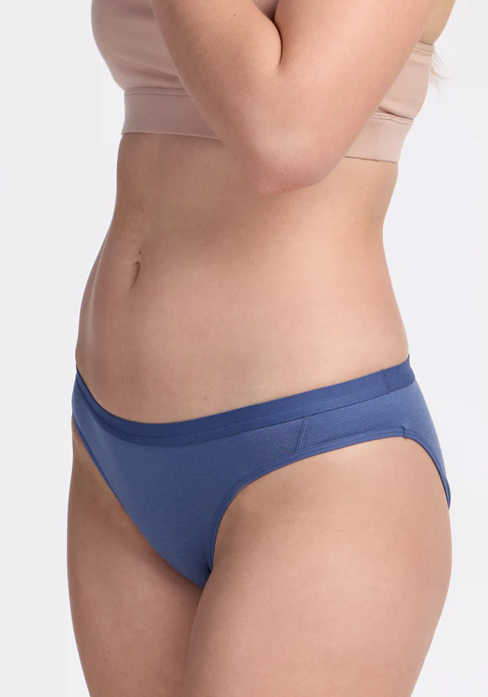Roxie Bikini Underwear - Skyline - Image 2