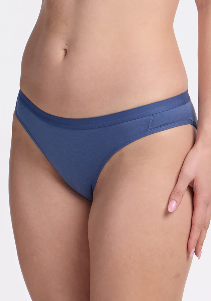Roxie Bikini Underwear - Skyline - Image 4